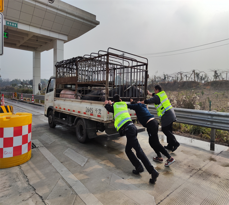 收費(fèi)員變身“推車俠” 助司機(jī)解難題配圖-1.jpg