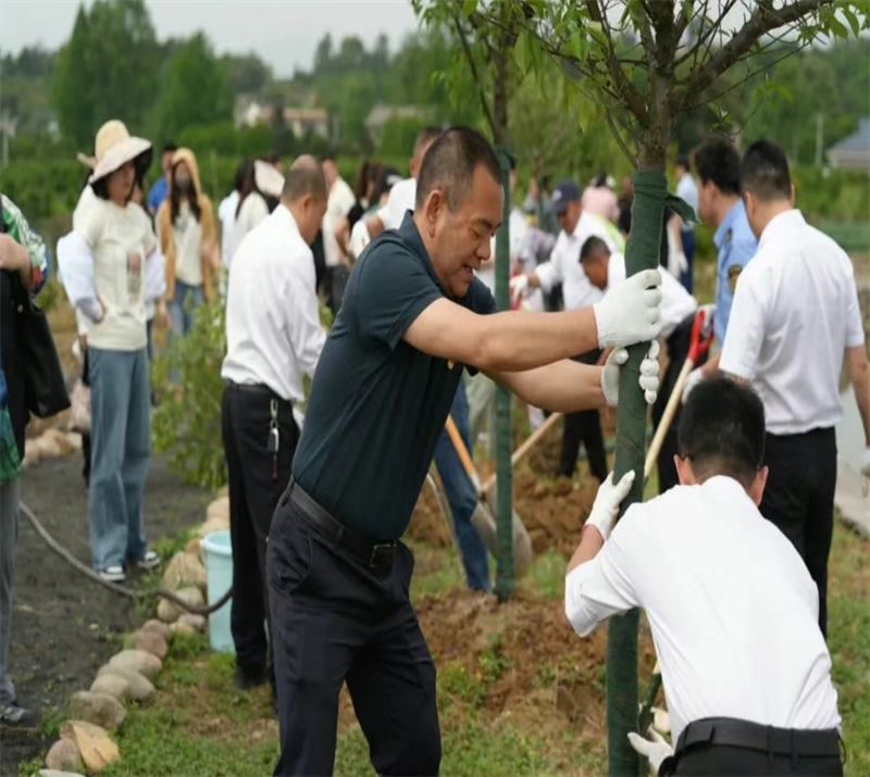 微信截圖_20250508111235.png